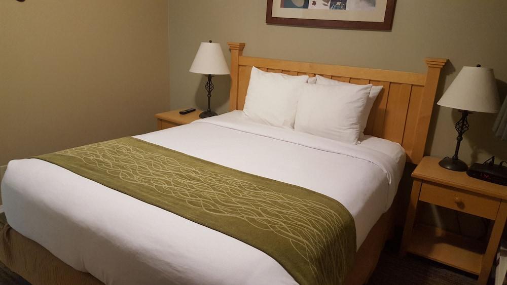 Econo Lodge Inn & Suites North Vancouver Ngoại thất bức ảnh
